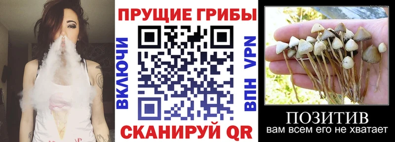 Галлюциногенные грибы Magic Shrooms  мега маркетплейс  Ишимбай 